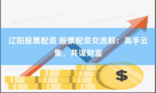 辽阳股票配资 股票配资交流群：高手云集，共谋财富