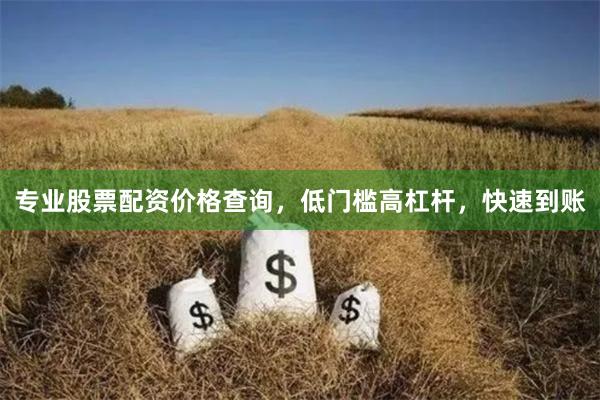专业股票配资价格查询，低门槛高杠杆，快速到账