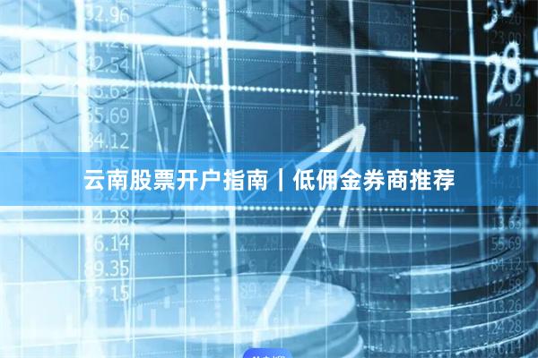云南股票开户指南｜低佣金券商推荐
