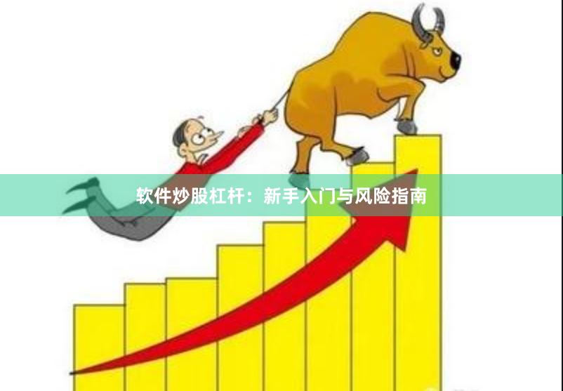 软件炒股杠杆：新手入门与风险指南